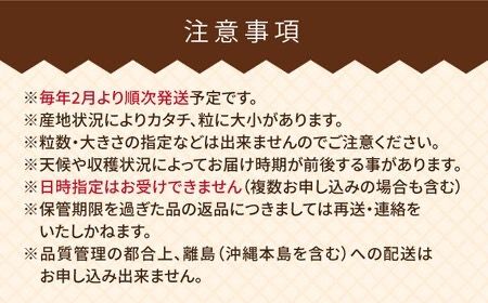 【全2回定期便】【2024年2月上旬より順次発送】糸島産【春】 あまおう 4パック 計1kg 糸島市 / 南国フルーツ株式会社 [AIK026]