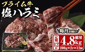 ＜定期便・全12回 (毎月の発送)＞プライム牛 塩ハラミ(総量4.8kg) 定期便 小分け 牛肉 肉 ハラミ 牛はらみ 味付け 焼肉 塩 BBQ 冷凍 大分県 佐伯市【DH323】【ネクサ】