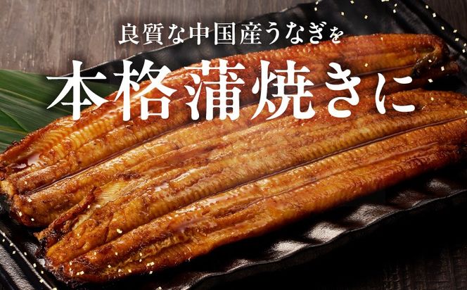kgp0067 秘伝のたれ仕込み うなぎ蒲焼 合計 320g（約160g×2尾）鰻 ウナギ 中国産 温めるだけ 簡単 レンジ調理 ふっくらふわふわ 炭火焼き 備長炭 手焼き
