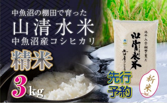 【令和8年産 先行予約】新潟県魚沼産コシヒカリ「山清水米」精米3kg