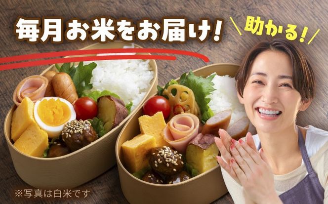 【3回定期便】あいちのかおり　玄米　5kg　お米　ご飯　愛西市／株式会社戸倉トラクター[AECS013]