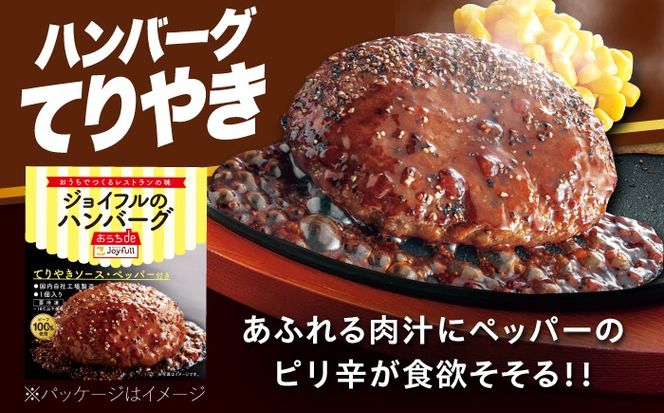 【全3回定期便】ジョイフル ハンバーグ スペシャル 詰め合わせ 2種 30個 セット《築上町》【株式会社　ジョイフル】[ABAA078]