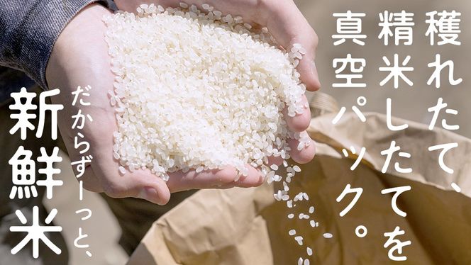 食べくらべ　精米5種　真空 450g ( 3合 ) × 2袋 × 5種類 令和7年産 米 お米 コメ 茨城県 新生活 応援 コシヒカリ ミルキープリンセス にじのきらめき つきあかり まんげつもち 餅米 食べ比べ　 [EX002ci]