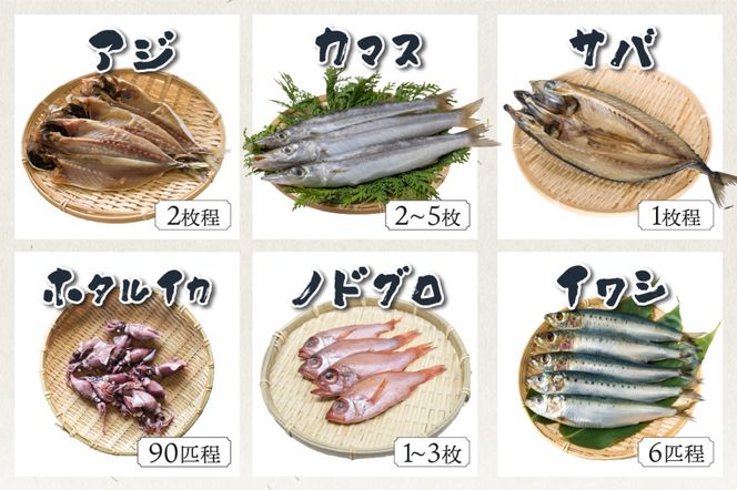 京丹後の地元魚屋が作ったお任せ干物セット（冷凍） TB00024