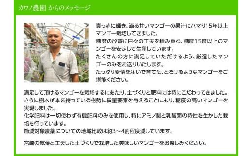 【令和7年発送】宮崎県産完熟マンゴー「果実の宝石」プレミアム　2L×2玉 【 先行予約 数量限定 宮崎県産 九州産 川南町産 糖度15度以上 期間限定 】[D03707]