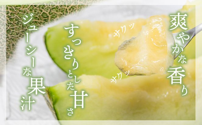 幸せの「タカミメロン」1玉（大玉） フルーツ 果物 