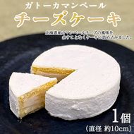 ガトーカマンベール チーズケーキ ≪スイーツ デザート お菓子 洋菓子 人気 おすすめ グルメ ギフト≫ ※離島への配送不可