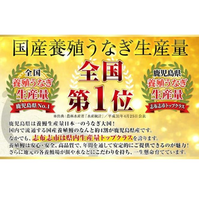 【志布志市人気No.1お礼の品】霧島湧水鰻の蒲焼き 160g以上×2尾＜計320g以上＞ a4-079