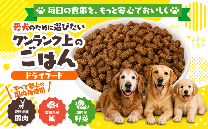 【愛犬用】ドライフード 800g（簡易包装）＜ペット ペットフード ドッグフード 犬 ワンちゃん 餌 毎日 ジビエ 犬用 おやつ鹿肉 魚 野菜 国産 愛媛県産 鬼北町 ノンオイルコーティング 冷凍殺菌 特定非営利活動法人Cambio＞