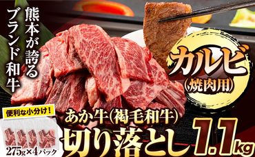 あか牛切り落とし 1.1kg(275g×4パック) 焼肉用カルビ切り落とし 《1-5営業日以内に出荷(土日祝除く)》肉 牛肉 切り落とし 国産牛 切落とし ブランド牛 すき焼き カレー 焼肉 小分け---mna_fakkiri_24_13000_500g_s_kr---