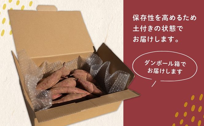 【数量限定】境町産 さつまいも 熟成紅はるか 小さめサイズ (SS～S) 約3kg 土付き 不揃い ねっとり 甘い 国産 熟成さつまいも べにはるか 芋 生芋 焼き芋 サツマイモ 無選別 茨城県 K2691