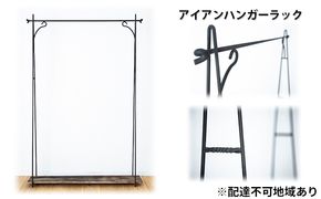 アイアン ハンガーラック 【配達不可：北海道・沖縄・離島】 雑貨 日用品 クオリティー インテリア 