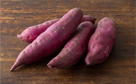 焼き芋モンブラン 10個 焼き芋 モンブラン 菓子 フィナンシェ 石川県 加賀 F6P-2315