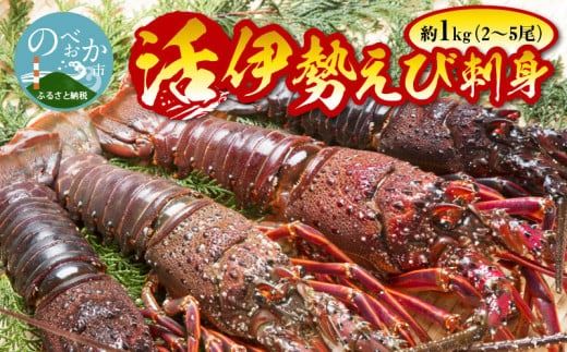 y{茧szCZGr 1kgZbg N014-YZD0136