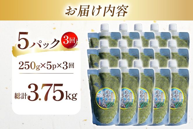 AJ653 めかぶ 有明海産 無添加めかぶとろろ 250g×5パック 定期便 3回 毎月 [ きざみめかぶ とろろ わかめ 海藻 無添加 冷凍 小分け チューブ ご飯のお供 中田水産 長崎県 島原市 ]