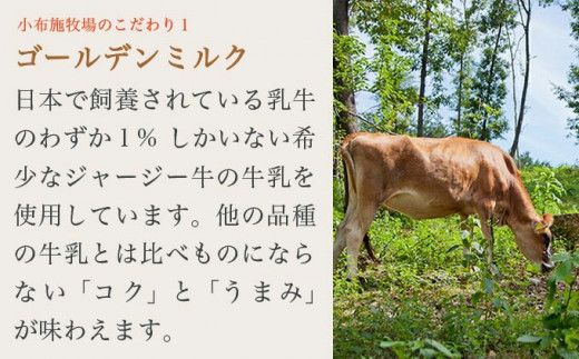 小布施牧場ジャージーミルクアイス 750ml × 4個 ［小布施牧場］アイスミルク アイス スイーツ デザート 菓子 お取り寄せ