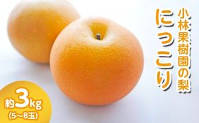 【先行予約】小林果樹園の梨 にっこり 5～8玉 約3kg｜朝どり みずみずしい 梨 なし ナシ フルーツ 果物 常総市　※2026年9月～発送