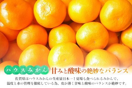 【先行受付 令和8年6月より発送開始】佐賀県産『ハウスみかん』約5000g【果物 フルーツ みかん 柑橘 ビタミン デザート ふるさと納税】(H108116)