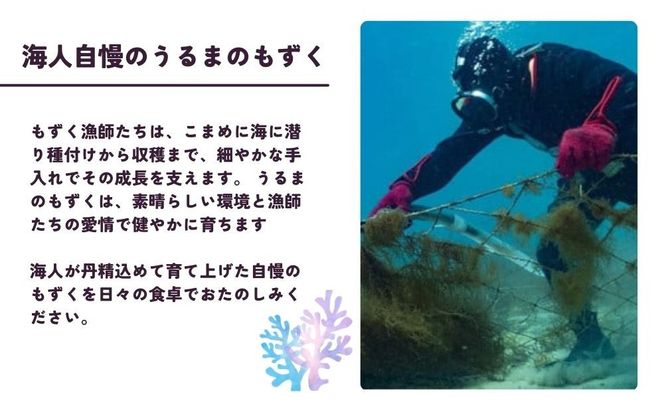 【美ら海水産】海ん人畑のあじわいもずくスープ　1食(6.1g)×30個