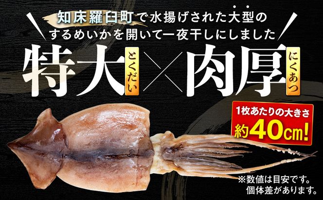 知床羅臼産するめいか一夜干し（1枚 250g 前後）8枚セット 生産者 支援 応援 016942_AE053