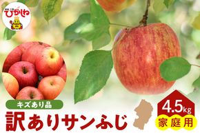 【令和7年産 先行予約】※訳あり※ サンふじ満杯詰(約4.5kg) 東根市 山形県 東根農産センター提供 hi027-204-2
