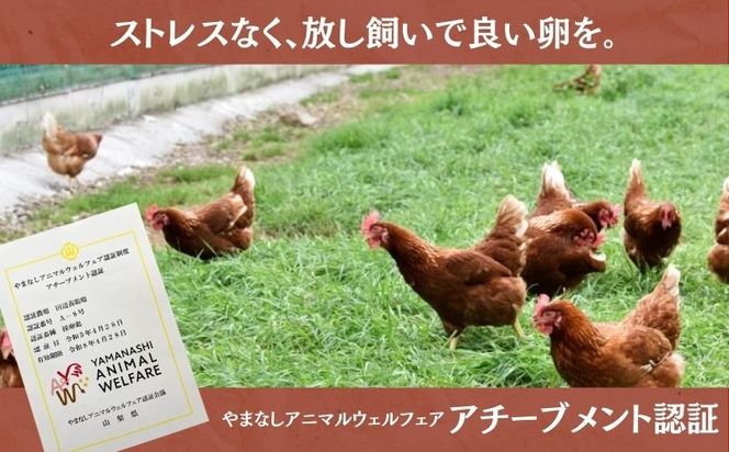 忍野の平飼い放牧卵　30個　KC009｜たまご 卵かけご飯 タマゴ 卵 健康 高級卵 放牧卵