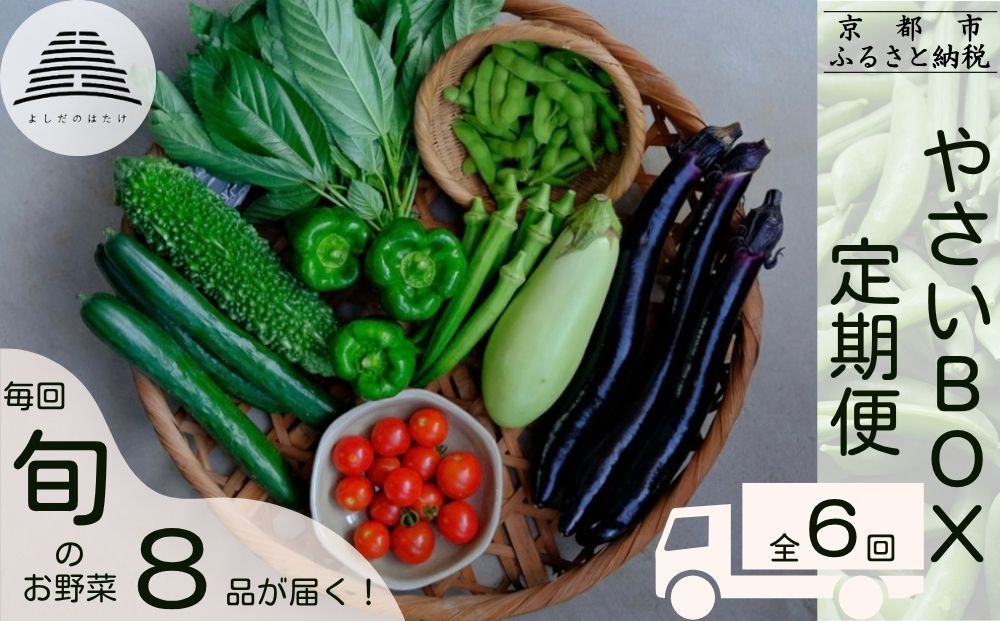 [定期便6回][よしだのはたけ]旬の野菜8品 やさいBOX|京都 京北 農家直送 野菜 人気セット [ 旬のお野菜 新鮮 おまかせセット 美味しい 産地直送 野菜詰め合わせ 野菜セット 野菜定期便 人気 おすすめ ギフト プレゼント お取り寄せ 通販 送料無料 ふるさと納税 ] 261009