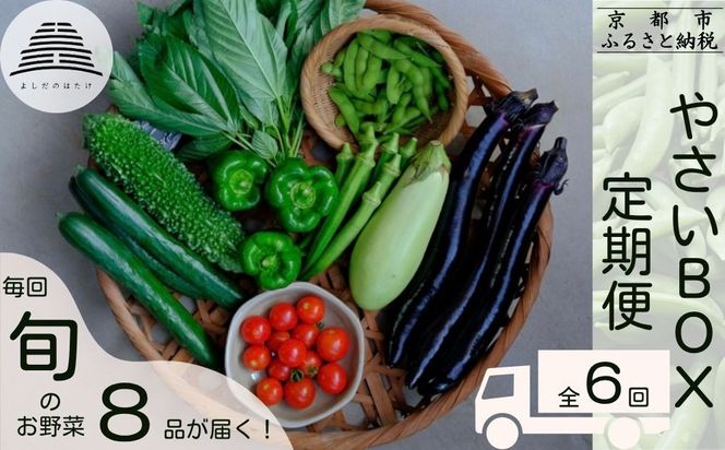 ＜定期便6回＞【よしだのはたけ】旬の野菜8品 やさいBOX｜京都 京北 農家直送 野菜 人気セット [ 旬のお野菜 新鮮 おまかせセット 美味しい 産地直送 野菜詰め合わせ 野菜セット 野菜定期便 人気 おすすめ ギフト プレゼント お取り寄せ 通販 送料無料 ふるさと納税 ] 261009_B-XZ02