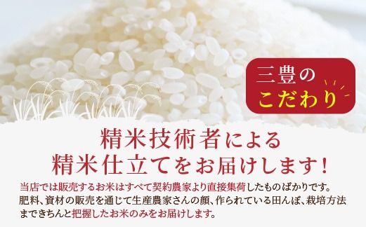 令和6年産　京都丹後産　特別栽培米コシヒカリ5kg（5kg×1袋）　ST00049