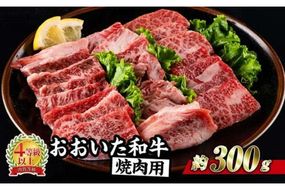 おおいた和牛 焼肉 (300g) 国産 豊後牛 BBQ バーベキュー 惣菜 やきにく おかず 百年の恵み 大分県 佐伯市【BD164】【西日本畜産 (株)】