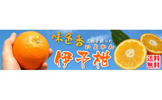  伊予柑 5kg サイズおまかせ / 蜜柑 みかん いよかん 柑橘 果物 フルーツ 紀伊国屋文左衛門本舗 ※2027年1月中旬～2月中旬頃順次発送予定(お届け日指定不可)　【kmtb009-r-5】