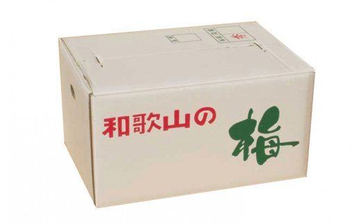 【梅干・梅酒用】大玉4Lサイズ10Kg熟南高梅 秀優混合＜2027年6月上旬～7月上旬ごろに順次発送予定＞【art022C】