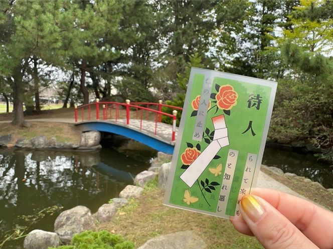 必ず見透す陣中占ひ® ～Crear Vision～ 運勢 願望 待人 縁談 身の上 カード3枚 PET/PP素材（正規品） | 占い 昭和 おもちゃ ※離島への配送不可