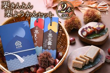 和菓子 栗きんとん & 栗ようかん セット [農林産物直売所 美郷ノ蔵 宮崎県 美郷町 31ab0071] ギフト 詰め合わせ くり 栗 国産 栗づくし 和菓子 スイーツ 宮崎県産 美郷産 冷蔵 送料無料 数量限定 お菓子 おやつ 手作り ギフト プレゼント 贈り物 父の日 母の日