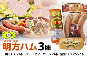 明方ハム 詰合せ Ａセット 明方ハム ボロニアソーセージ 醤油フランク 特産品 加工品 農協 494