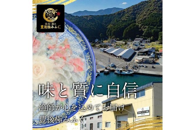 とらふぐ 唐揚げ 生姜にんにく醤油味 (約430g) とらふぐ ふぐ フグ 唐揚げ 醤油 にんにく 生姜 簡単 揚げるだけ おつまみ 冷凍 養殖 国産 大分県 佐伯市【DK08】【(有)エイコー水産】