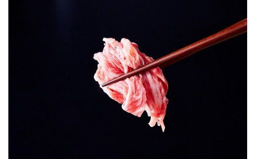 いちかわ精肉店「国産牛切り落とし」１ｋｇ 010AA08N.／堀田畜産 いちかわ精肉店 赤身 ヘルシー 牛肉 国産 bbq バーベキュー 焼肉 アウトドア キャンプ