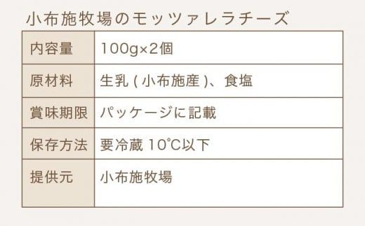 無添加 小布施牧場の搾りたてジャージー牛乳で作ったモッツァレラチーズ 100g × 2個 ［小布施牧場］チーズ モッツァレラ プレゼント 長野 信州 冷蔵便 クール便 ［B-14］
