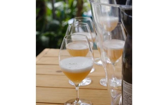 蒜山産クラフトビール 375ml×4本セット / 地ビール 蒜山 お酒 ひるぜん お取り寄せ 岡山県 真庭市【tmizu001-02】