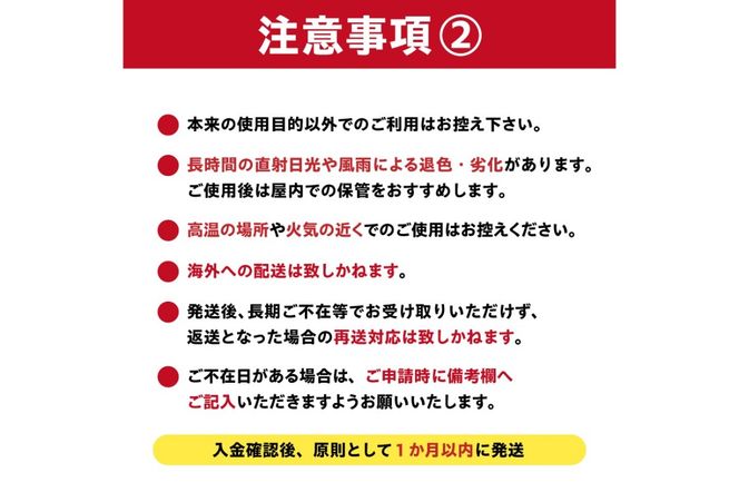 洗濯ハンガー「いちどにありがとう32」とステンレスハンガーgooper【0007-013】