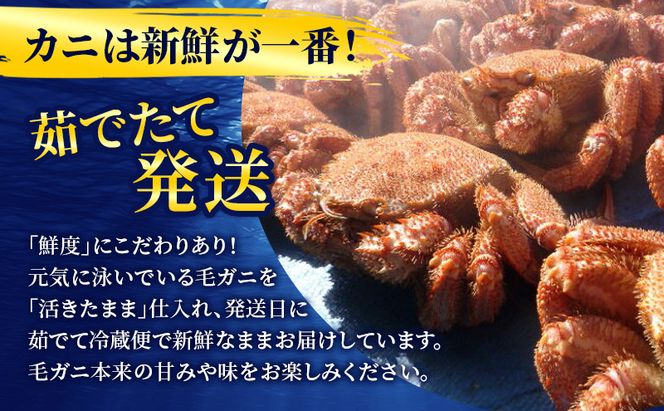 ［冷蔵便］茹でたて直送！北海道産 朝茹で毛ガニ 約300g×2尾【 かに カニ 蟹 幕別町 北海道 毛蟹 毛ガニ 海鮮 魚介 海の幸 海産物 冷蔵 】