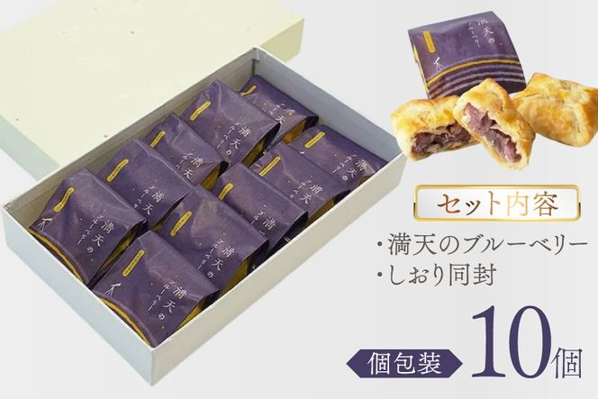 お菓子 個包装 満天のブルーベリー 10個入 [谷口製菓 石川県 宝達志水町 38601295] 菓子 焼菓子 菓子折り 和菓子 パイ スイーツ おかし おやつ 常温 ブルーベリー