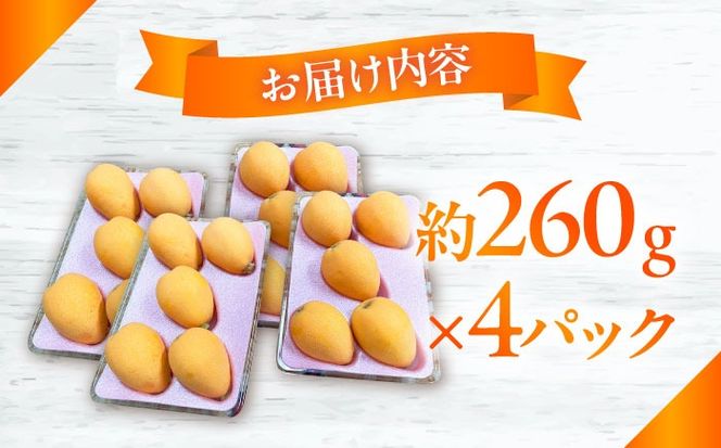 【2025年3月下旬〜発送】【数量限定】長崎ハウス びわ 約1kg（約260g × 4p） / フルーツ びわ ビワ 枇杷 / 南島原市 / O' Berry![SGA002]