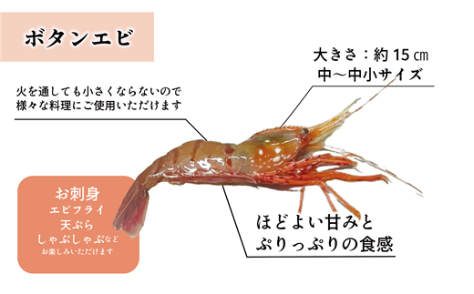 ＜ボタンエビ・シマエビ(冷凍) 1kg(各500g)＞北海道乙部町産 産地直送 阿部水産