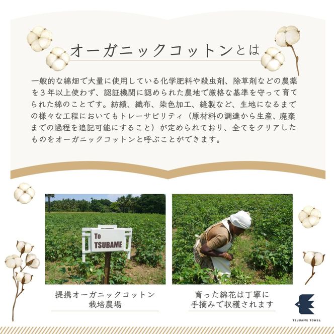 015B468 ナナイロ バスタオル 4枚セット（モモイロ）【オーガニック 国産 日本製 泉州タオル 老舗タオルメーカー 明治45年創業 無地 パステル 吸水力 赤ちゃん 敏感肌】