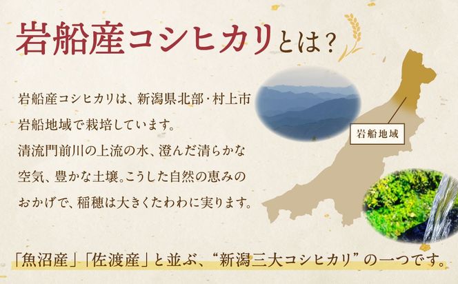 【新米受付・令和8年産米】新潟県村上市　岩船産コシヒカリ6kg（2kg×３袋）　1103001N
