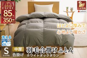 【春秋用】 洗える 羽毛布団 合掛け シングル ホワイトダックダウン85% 0.8kg 無地 グレー 中厚 春用 秋用 [川村羽毛 山梨県 韮崎市 20745483] 合い掛け 軽い羽毛 布団  コインランドリー 掛け布団 ダウンかけ布団 ふとん 羽毛ふとん 合掛け布団 エクセルゴールドラベル