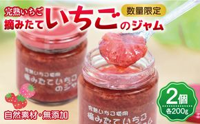005A433 【先行予約】完熟朝摘みいちごのジャム【苺 無添加 自然素材 フルーツ イチゴ 高評価 数量限定】