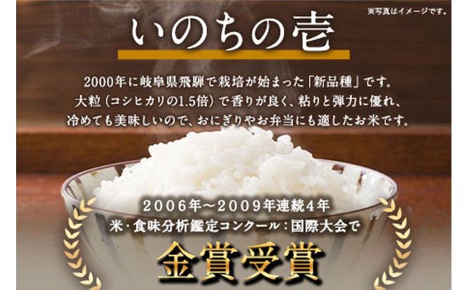 新米 令和6年産 特別栽培米 いのちの壱(白米) 10kg(5kg×2袋) 雑穀米付き《30日以内に出荷予定(土日祝除く)》 熊本県 南阿蘇村 熊本県産 虹色のかば 白米 雑穀米---sms_inci6_30d_24_25000_h10kg2---