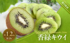 香緑キウイ 約1.2kg キウイ キウイフルーツ フルーツ 果物 くだもの 果実 旬の果物 旬のフルーツ 香川 香川県 東かがわ市
